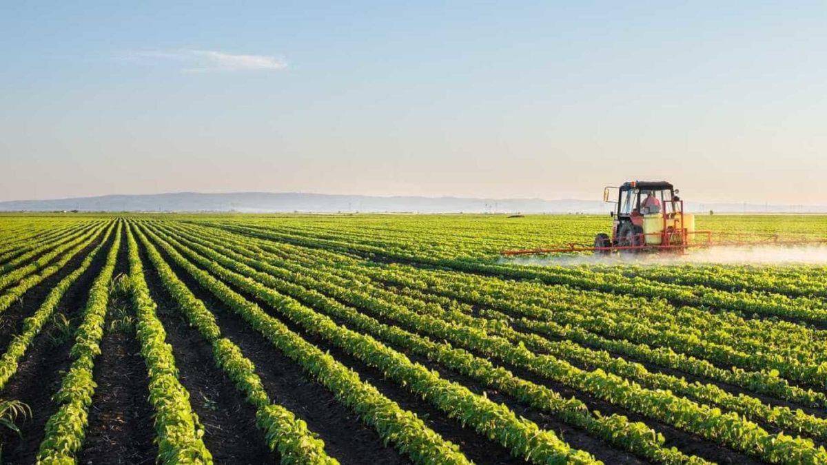 Las carreras en Agronomía de Guatemala